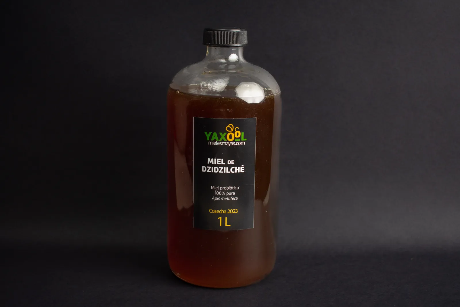 Miel de Dzildzilché 1L